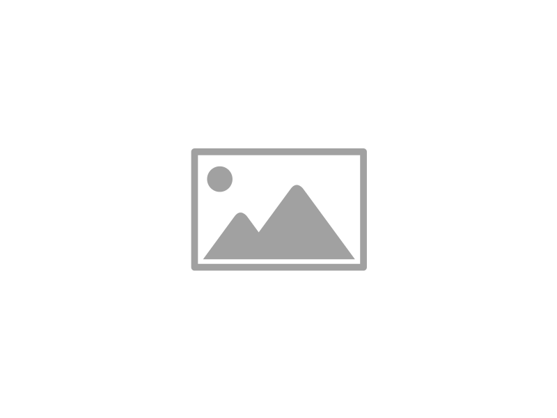 Cigány a világban